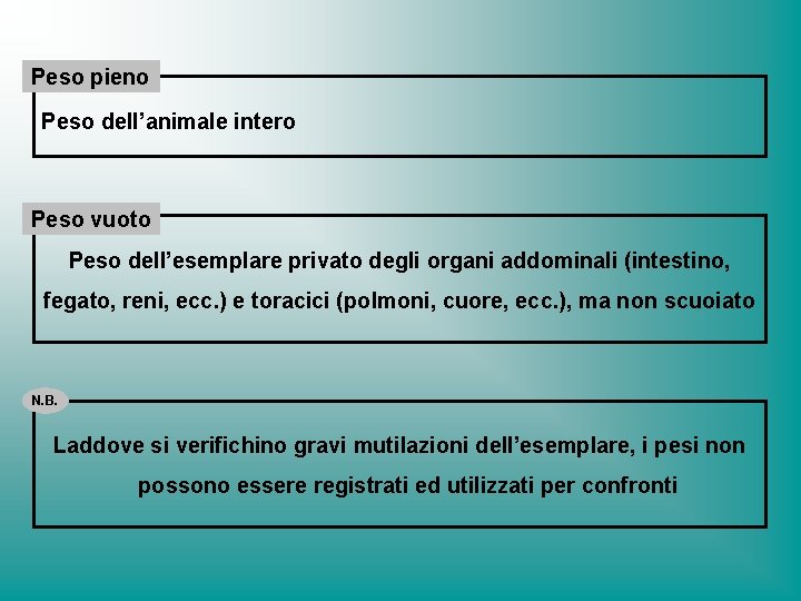 Peso pieno Peso dell’animale intero Peso vuoto Peso dell’esemplare privato degli organi addominali (intestino,