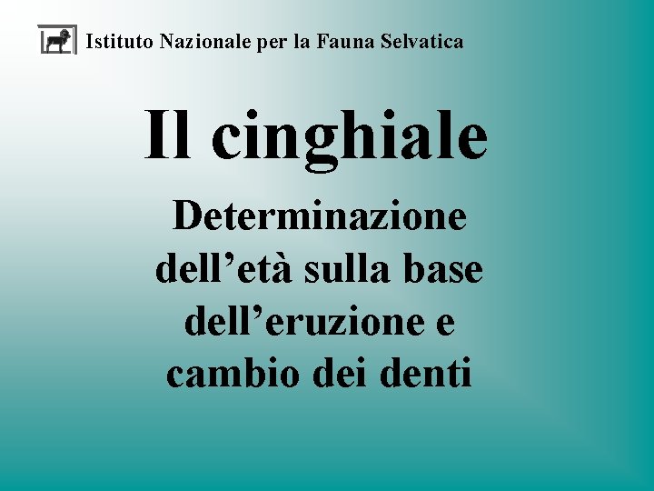 Istituto Nazionale per la Fauna Selvatica Il cinghiale Determinazione dell’età sulla base dell’eruzione e