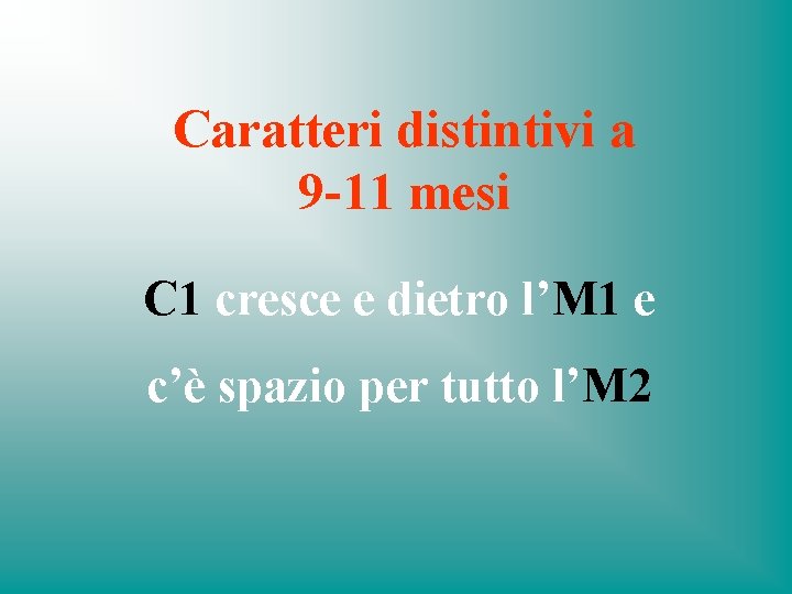 Caratteri distintivi a 9 -11 mesi C 1 cresce e dietro l’M 1 e