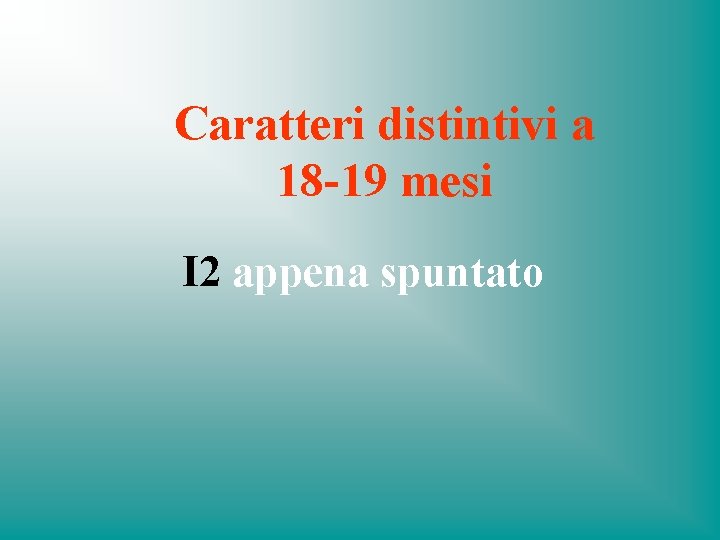 Caratteri distintivi a 18 -19 mesi I 2 appena spuntato 