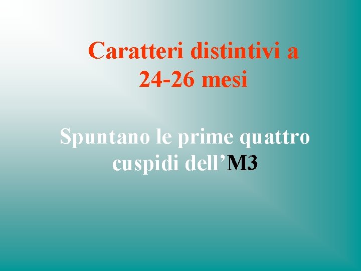 Caratteri distintivi a 24 -26 mesi Spuntano le prime quattro cuspidi dell’M 3 