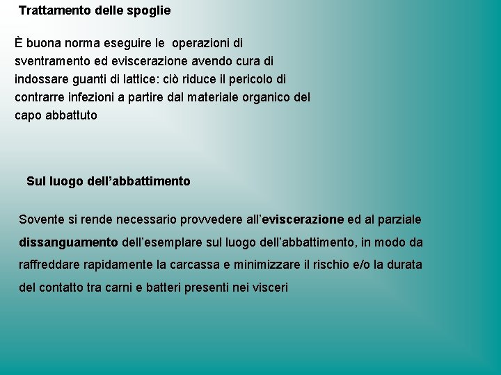 Trattamento delle spoglie È buona norma eseguire le operazioni di sventramento ed eviscerazione avendo