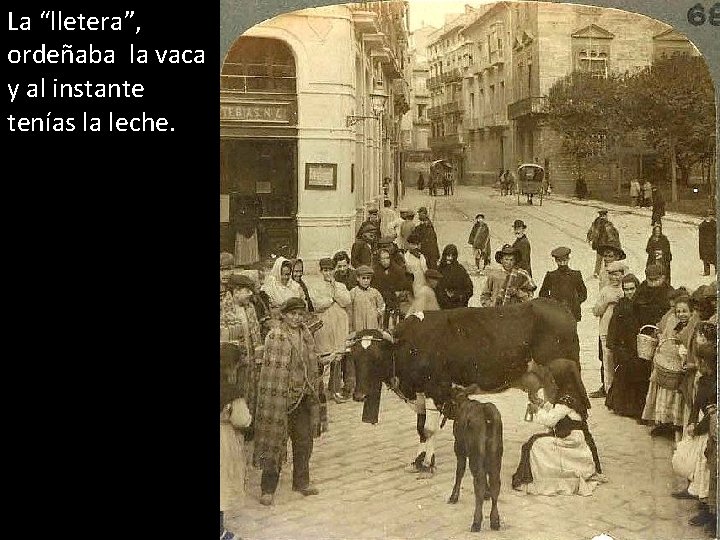 La “lletera”, ordeñaba la vaca y al instante tenías la leche. 