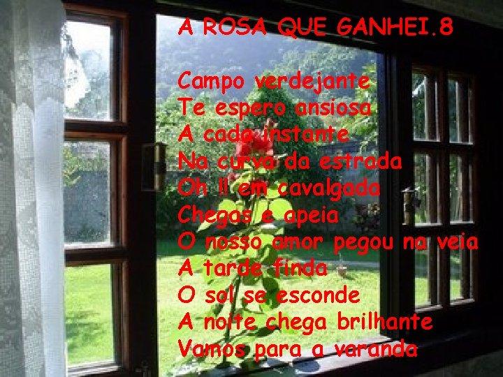 A ROSA QUE GANHEI. 8 Campo verdejante Te espero ansiosa A cada instante Na