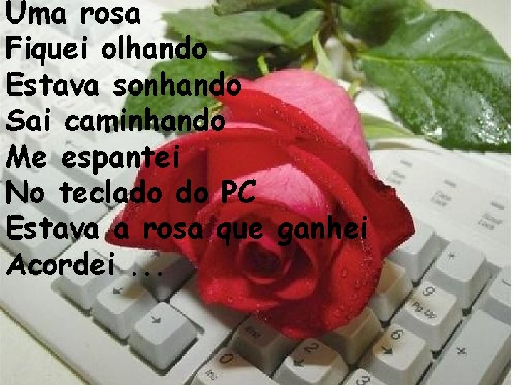 Uma rosa Fiquei olhando Estava sonhando Sai caminhando Me espantei No teclado do PC