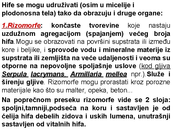 Hife se mogu udruživati (osim u micelije i plodonosna tela) tako da obrazuju i