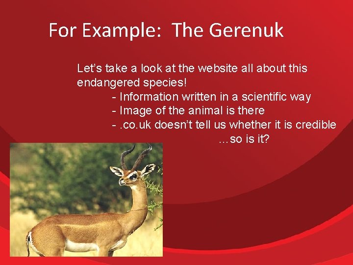 For Example: The Gerenuk Let’s take a look at the website all about this