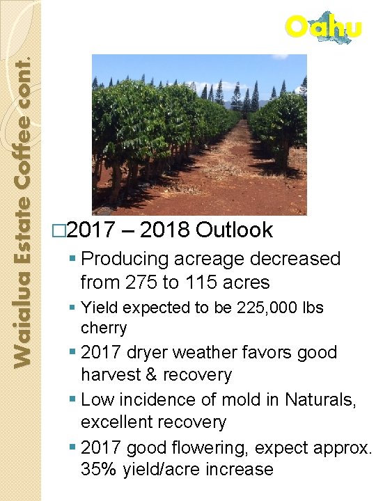 Waialua Estate Coffee cont. Oahu � 2017 – 2018 Outlook § Producing acreage decreased