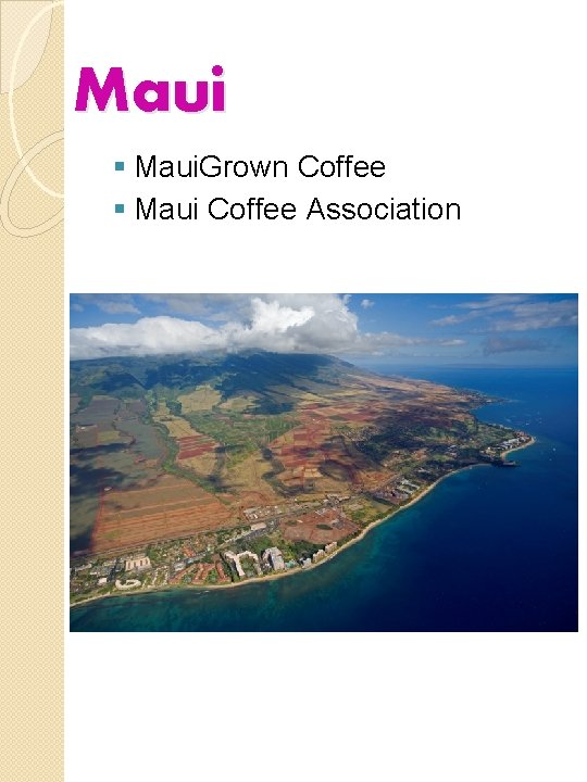 Maui § Maui. Grown Coffee § Maui Coffee Association 