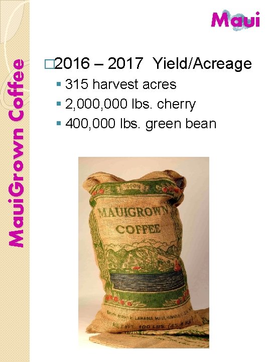 Maui. Grown Coffee Maui � 2016 – 2017 Yield/Acreage § 315 harvest acres §