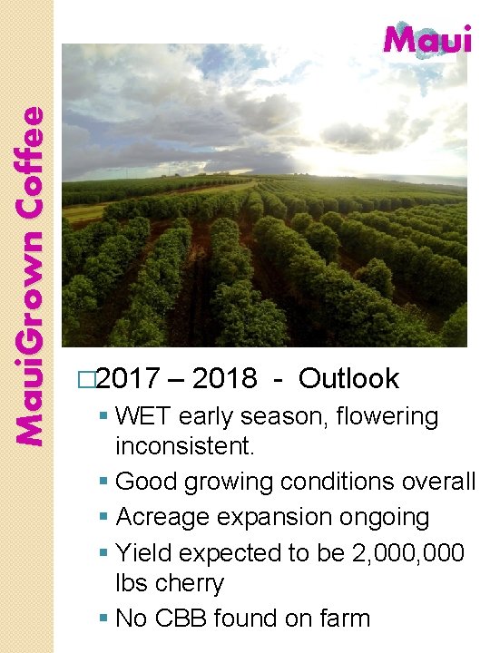 Maui. Grown Coffee Maui � 2017 – 2018 - Outlook § WET early season,