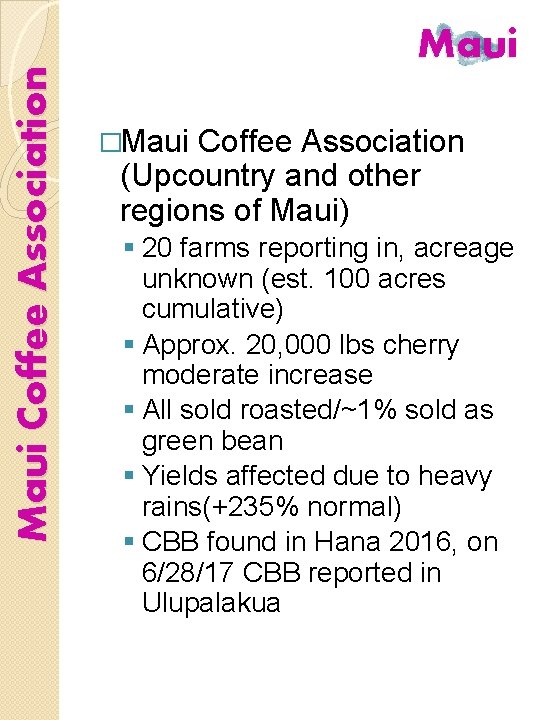 Maui Coffee Association Maui �Maui Coffee Association (Upcountry and other regions of Maui) §