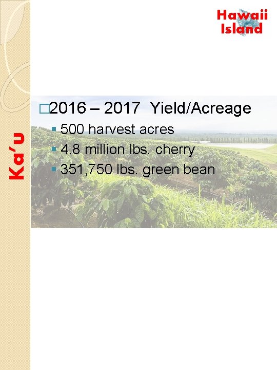 Hawaii Island Ka’u � 2016 – 2017 Yield/Acreage § 500 harvest acres § 4.