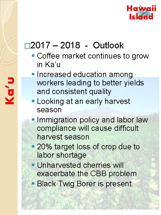 Hawaii Island Ka’u � 2017 – 2018 - Outlook § Coffee market continues to