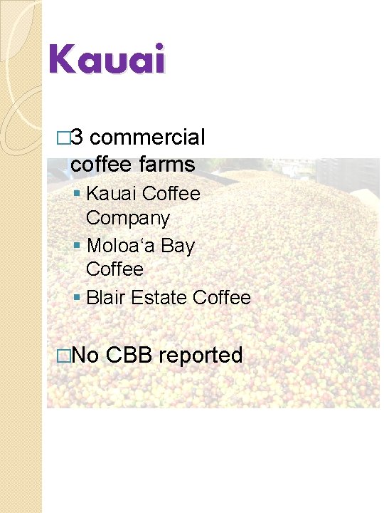 Kauai � 3 commercial coffee farms § Kauai Coffee Company § Moloa‘a Bay Coffee