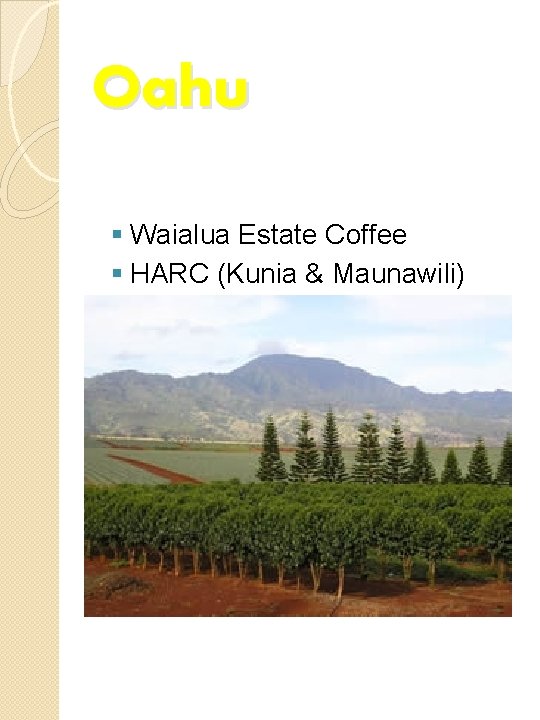 Oahu § Waialua Estate Coffee § HARC (Kunia & Maunawili) 