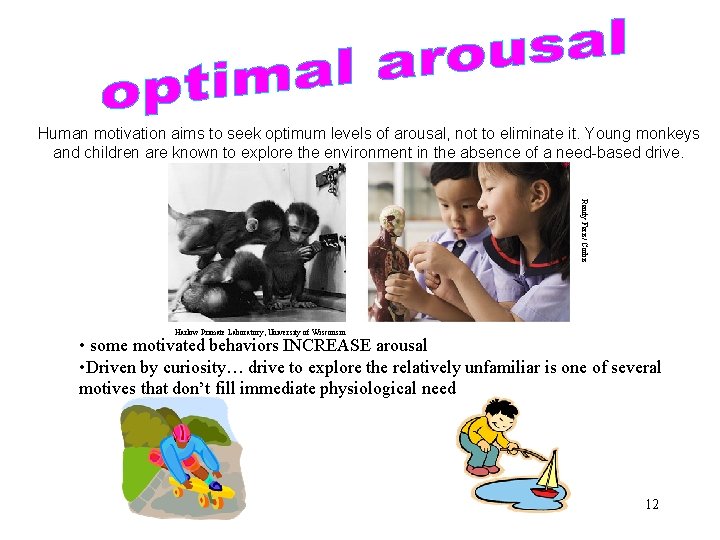 Human motivation aims to seek optimum levels of arousal, not to eliminate it. Young