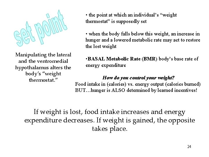  • the point at which an individual’s “weight thermostat” is supposedly set •