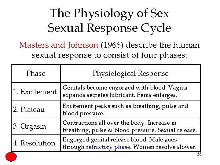 The Physiology of Sexual Response Cycle Masters and Johnson (1966) describe the human sexual