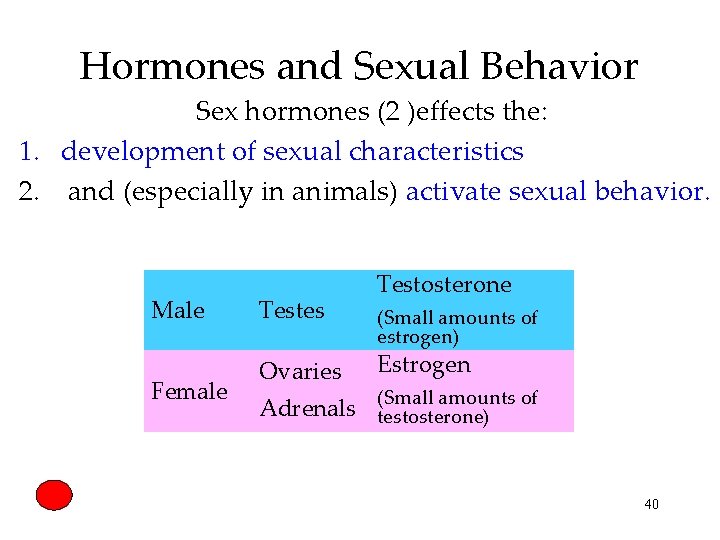 Hormones and Sexual Behavior Sex hormones (2 )effects the: 1. development of sexual characteristics