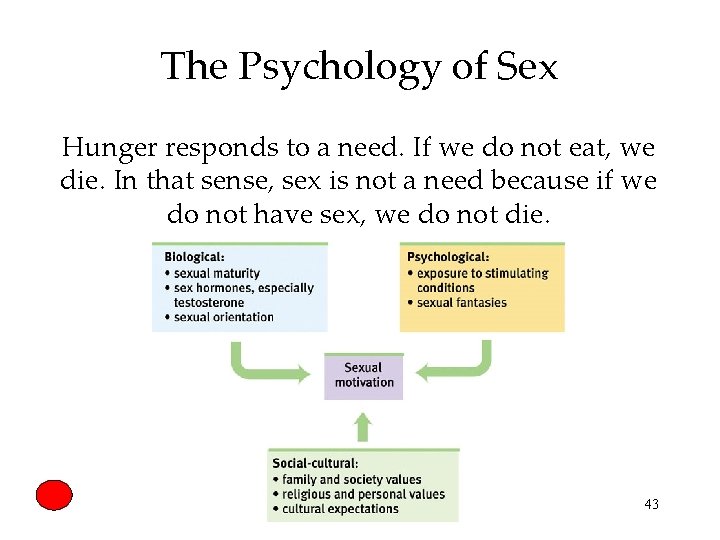 The Psychology of Sex Hunger responds to a need. If we do not eat,
