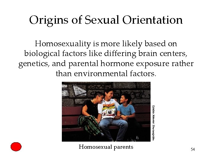 Origins of Sexual Orientation Homosexuality is more likely based on biological factors like differing