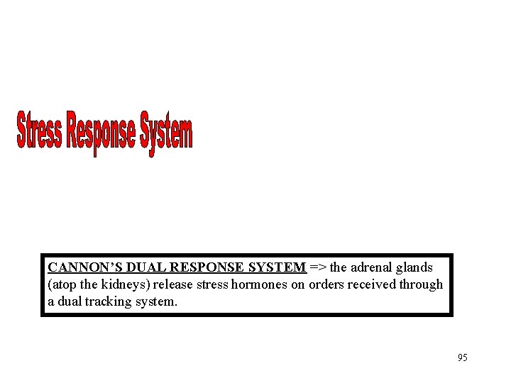 CANNON’S DUAL RESPONSE SYSTEM => the adrenal glands (atop the kidneys) release stress hormones
