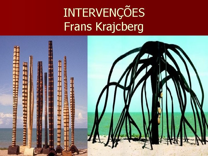 INTERVENÇÕES Frans Krajcberg 