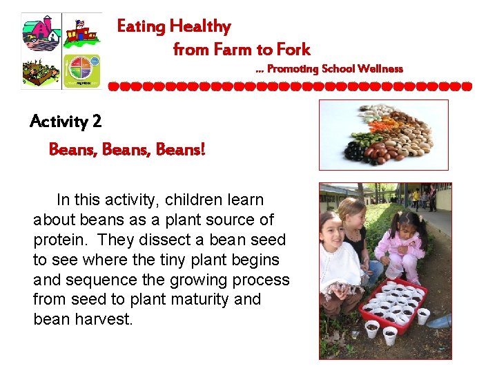 Eating Healthy from Farm to Fork … Promoting School Wellness Activity 2 Beans, Beans!