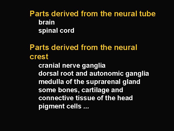 Parts derived from the neural tube brain spinal cord Parts derived from the neural