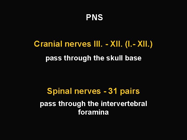 PNS Cranial nerves III. - XII. (I. - XII. ) pass through the skull