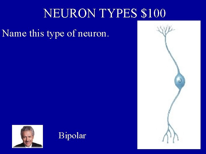 NEURON TYPES $100 Name this type of neuron. Bipolar 