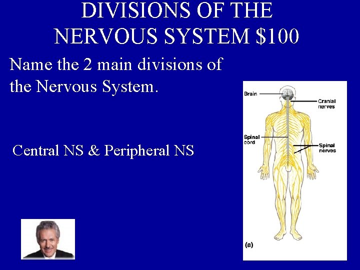 DIVISIONS OF THE NERVOUS SYSTEM $100 Name the 2 main divisions of the Nervous