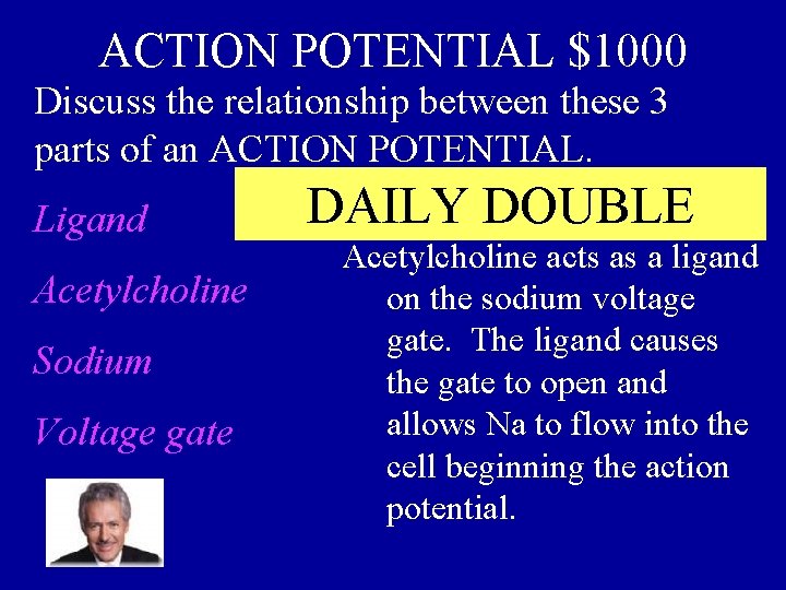 ACTION POTENTIAL $1000 Discuss the relationship between these 3 parts of an ACTION POTENTIAL.