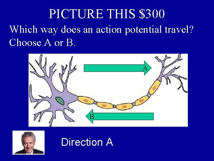 PICTURE THIS $300 Which way does an action potential travel? Choose A or B.