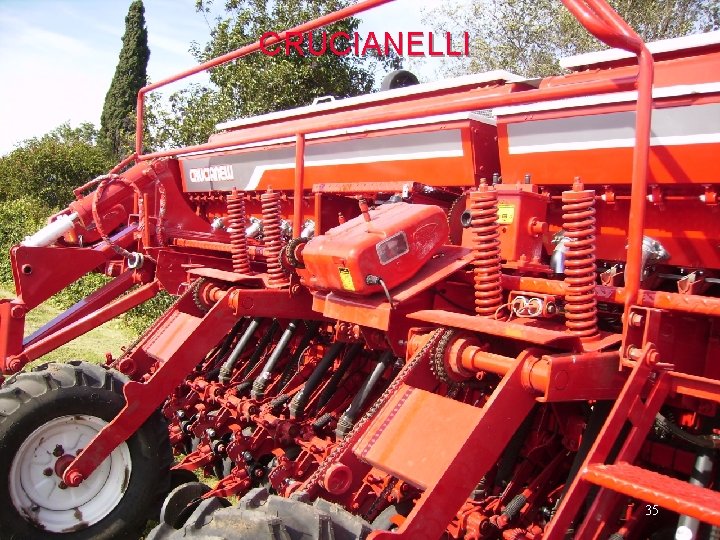 CRUCIANELLI 35 