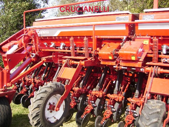 CRUCIANELLI 36 
