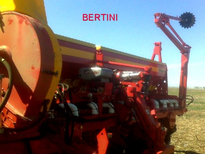 BERTINI 37 