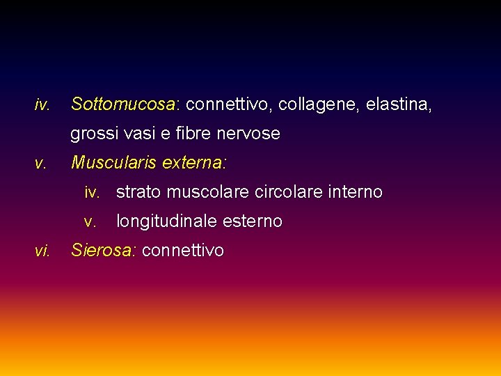 iv. Sottomucosa: connettivo, collagene, elastina, grossi vasi e fibre nervose v. Muscularis externa: iv.