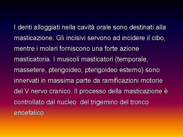 I denti alloggiati nella cavità orale sono destinati alla masticazione. Gli incisivi servono ad