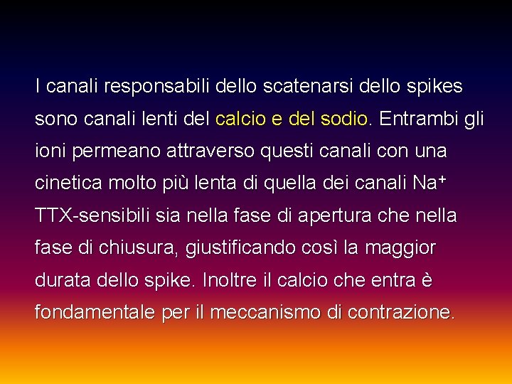 I canali responsabili dello scatenarsi dello spikes sono canali lenti del calcio e del