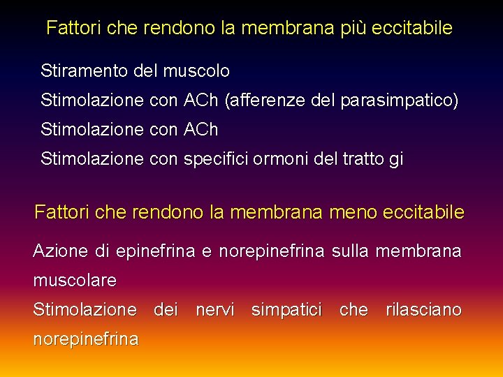 Fattori che rendono la membrana più eccitabile Stiramento del muscolo Stimolazione con ACh (afferenze