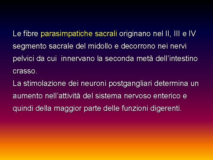 Le fibre parasimpatiche sacrali originano nel II, III e IV segmento sacrale del midollo