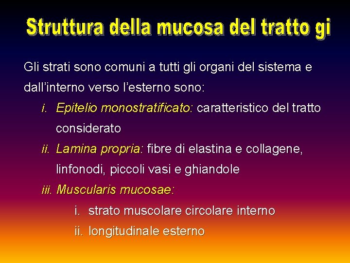 Gli strati sono comuni a tutti gli organi del sistema e dall’interno verso l’esterno