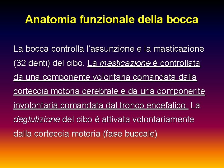 Anatomia funzionale della bocca La bocca controlla l’assunzione e la masticazione (32 denti) del