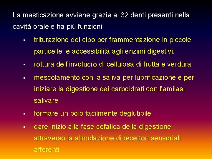 La masticazione avviene grazie ai 32 denti presenti nella cavità orale e ha più