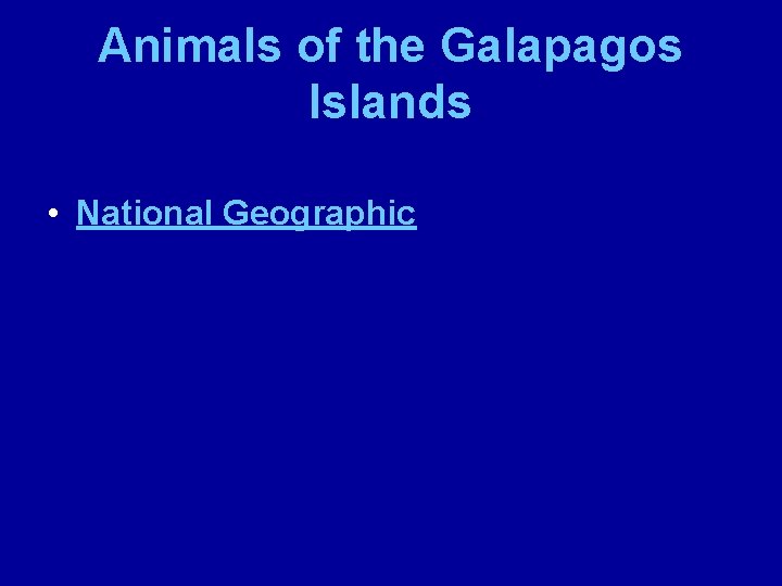 Animals of the Galapagos Islands • National Geographic 