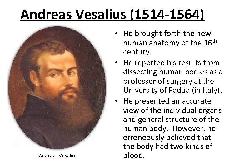 Andreas Vesalius (1514 -1564) Andreas Vesalius • He brought forth the new human anatomy