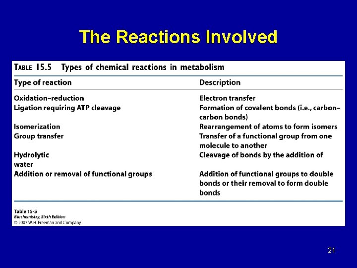 The Reactions Involved 21 