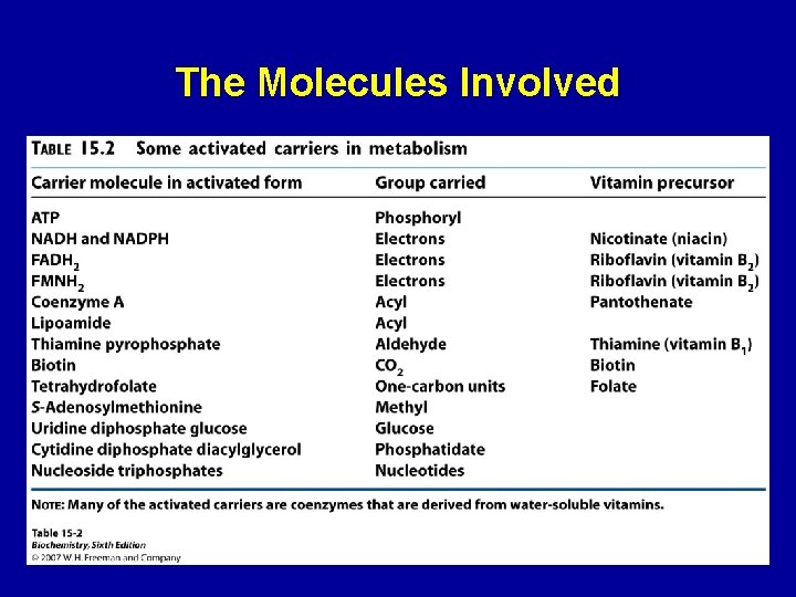 The Molecules Involved 22 